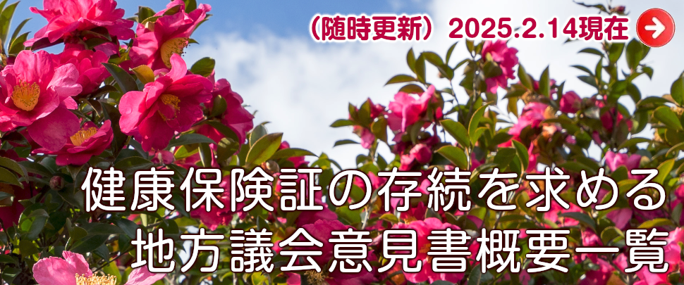 バナー：健康保険証の存続等を求める地方議会意見書概要一覧